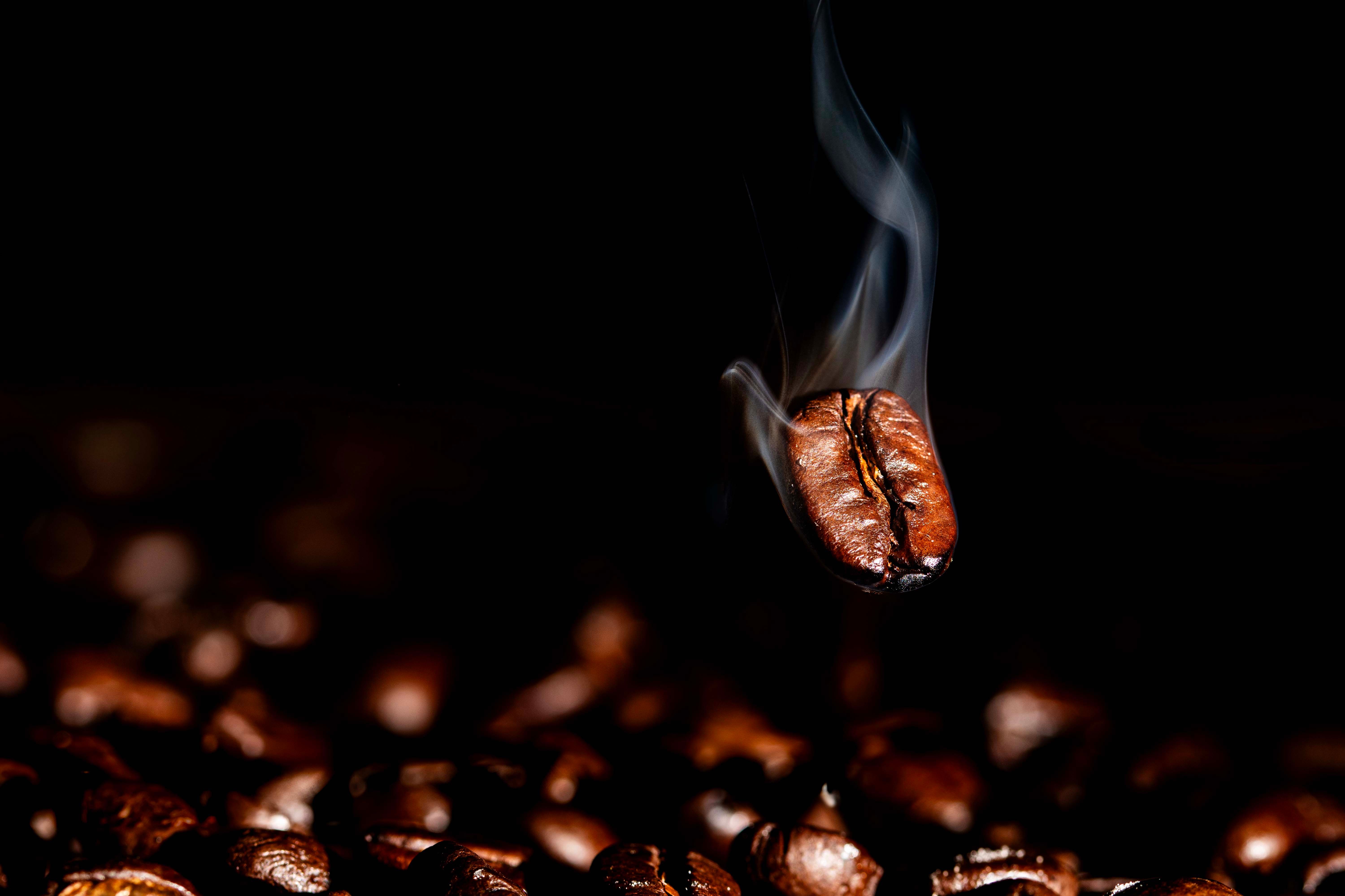 Grão de café aromático